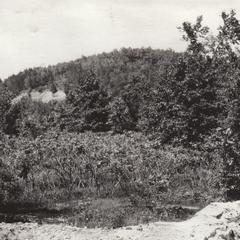 Tilden's Mound