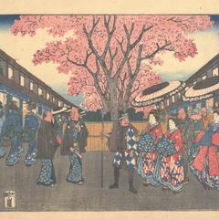 Cherry Blossoms at Nakanocho in the New Yoshiwara, from the series Famous Places in Edo