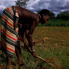 Female Farmers Cultivating Their Fields