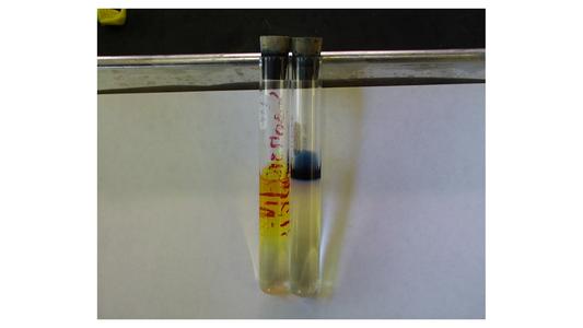 Different rates of diffusion of two colored solutes through gelatin