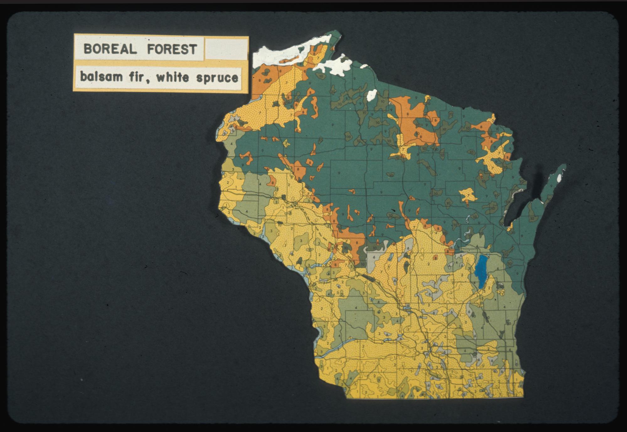 Map of Wisconsin's boreal forests