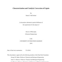 Characterization and Catalytic Conversion of Lignin