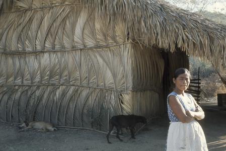 Sabal palm-covered house, near Chiguimula