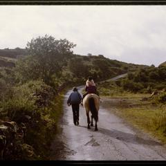 Pony ride on a quiet road, the Isle of Mull, Argyll