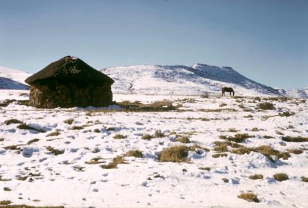 House and Horse in the Mountains in Winter