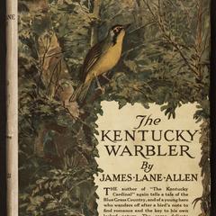 The Kentucky warbler