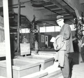 Man Viewing a Display, College of Agriculture Flower Show, 1967