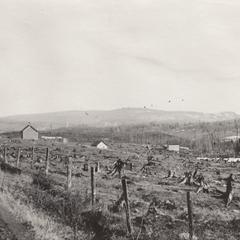 Gogebic range and Mount Whittlesey