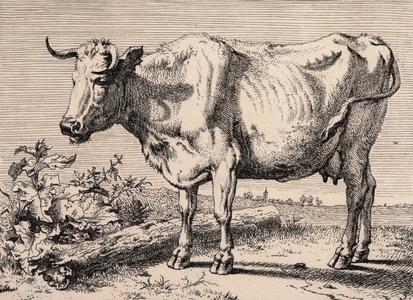 The Cow with the Crumpled Horn