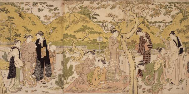 Group of People Viewing Autumn Leaves