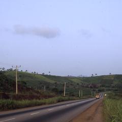 Road near fields of rice outside of Erin