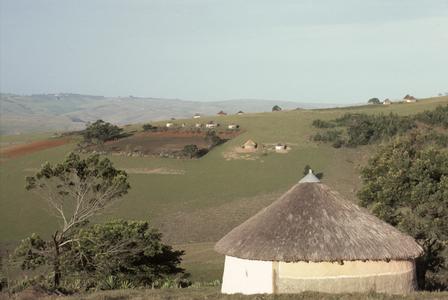 South Africa : homes