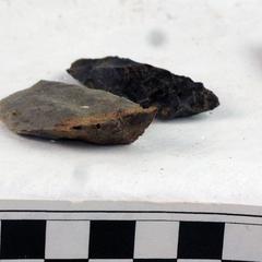 Lithics and organic material