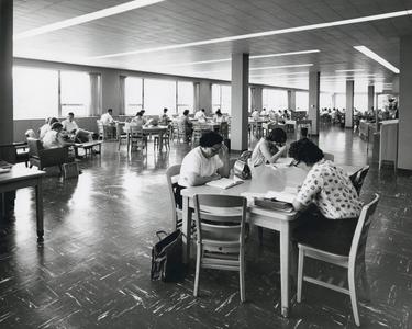 Studying in the library