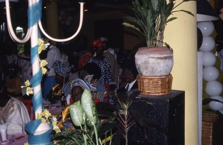 Plants at Apara wedding reception