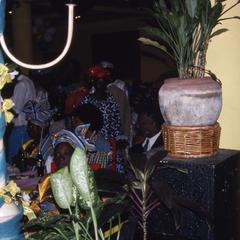 Plants at Apara wedding reception