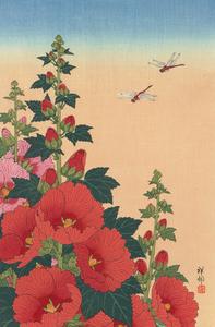 Two Dragonflies and Flowering Red Hollyhocks