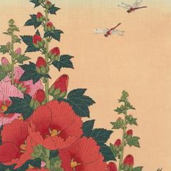 Two Dragonflies and Flowering Red Hollyhocks
