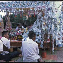 Ban Pha Khao : money tree--monk's bed