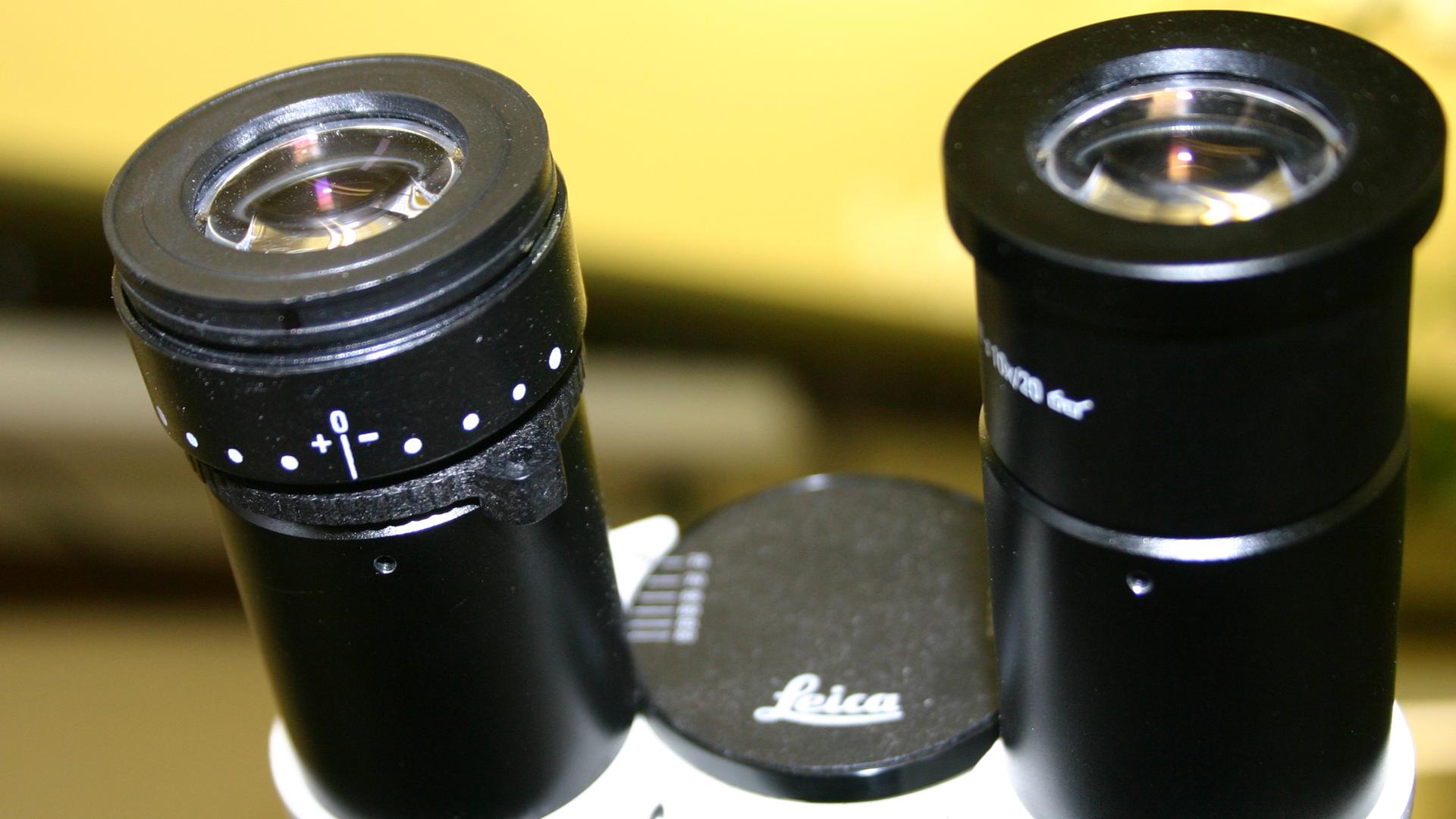 View of oculars of the Leica microscope used in General Botany taught at the University of Wisconsin-Madison.