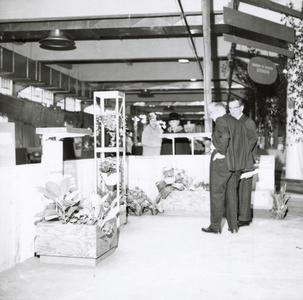Plant Display, College of Agriculture Flower Show, 1967