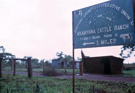 Nyakama Cooperative Cattle Ranch