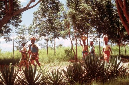 Villagers Walking in Kawambwa