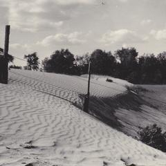 Dunes encroaching on field