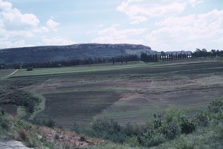 South Africa : scenery : cultivated fields