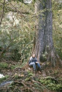 Daughter of ambassador of Denmark in Guatemala, with bald cypress and willow
