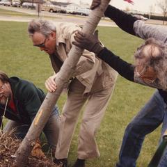 Arbor Day, Janesville, 1988