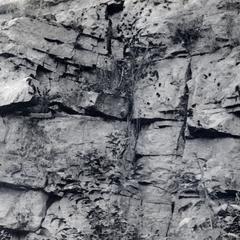 Quartzite showing jointing planes