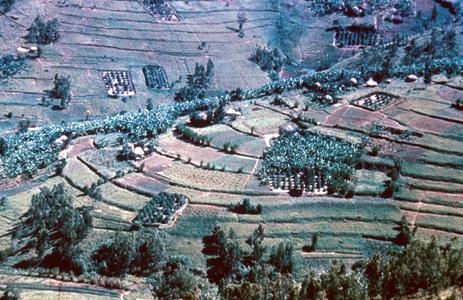 A View of the Fields of Gitarama