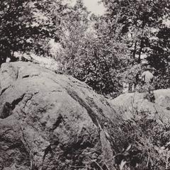 Weathered granite boulders
