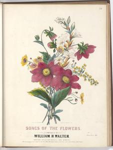 Songs of the flowers