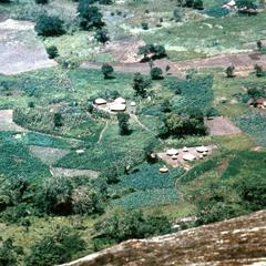 Lugbara Settlement
