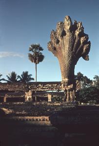Angkor Wat : "naga"