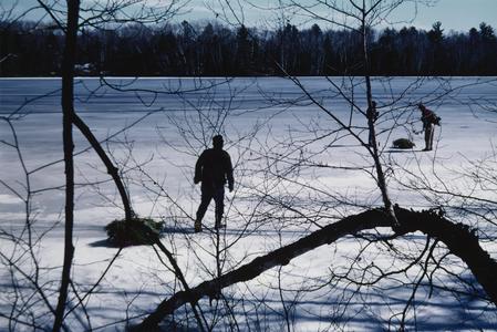 John Snow’s nephew drags a sled with tree bough bundles across frozen Sugarbush Lake to an ice-fishing site