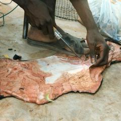 Preparing the Goat Skin for the Ngoni