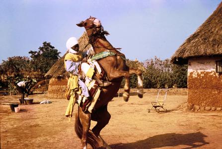 Horseman During National Festivities in Kaladi Gbaya