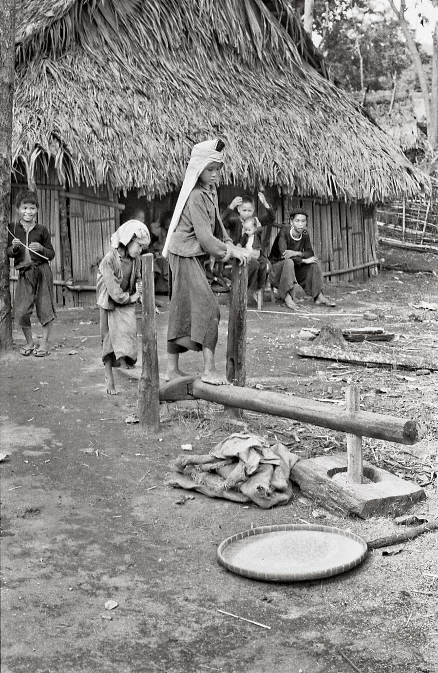 Children thresh rice 2