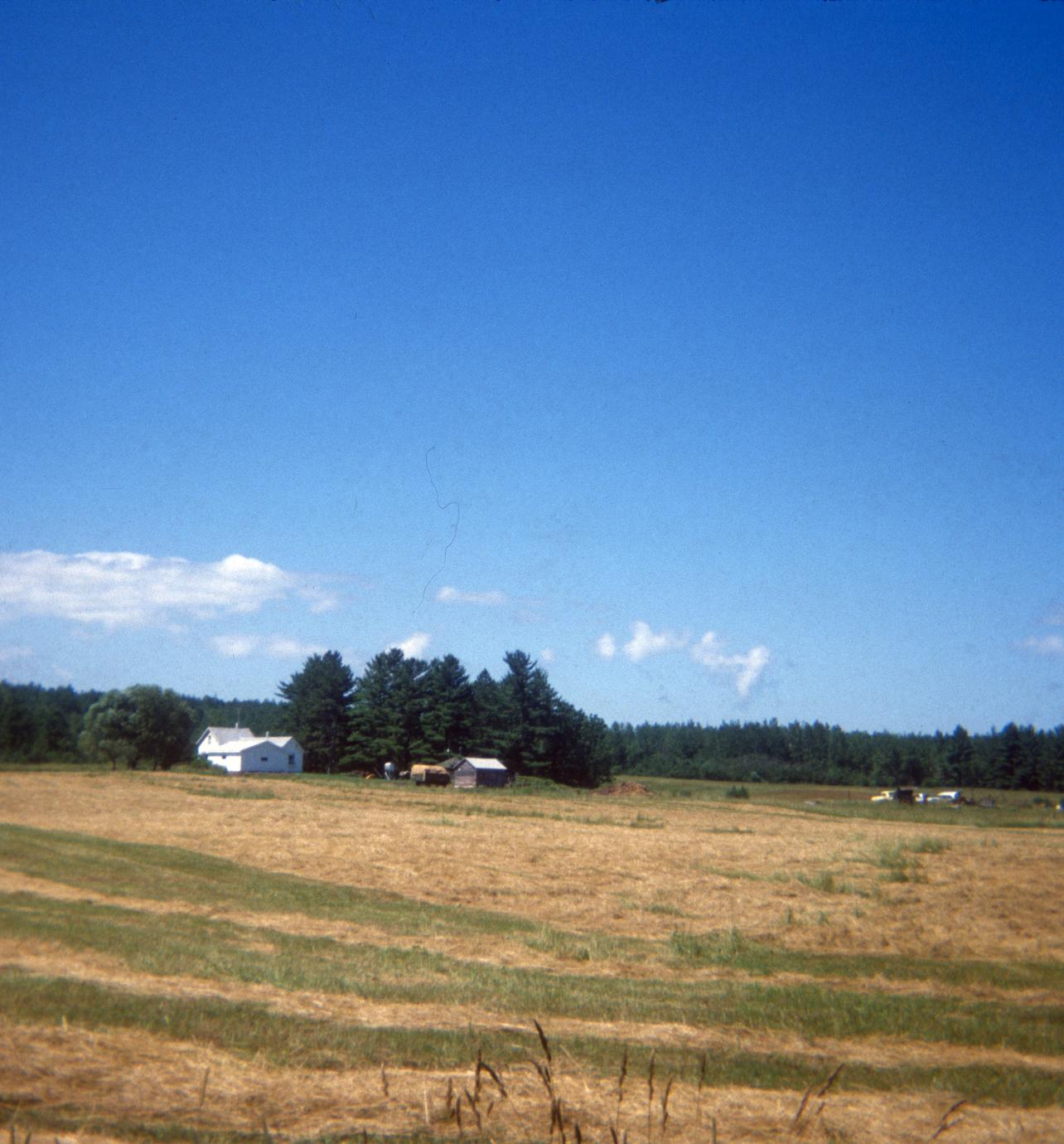 Hugo Maki's family farmstead