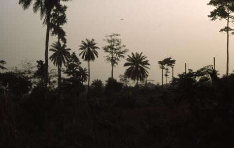 Evening view of Ife