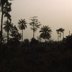Evening view of Ife