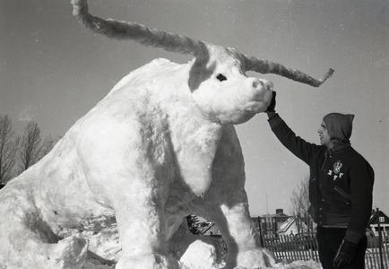 Bull snow sculpture, Snow Week