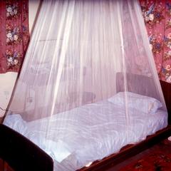 Mosquito Net in a Banjul Hotel Room