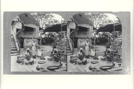 Winnowing rice by hand, Pandacan, 1902