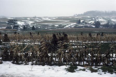 Germantown farmstead and farm land in winter
