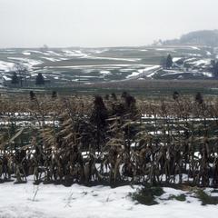 Germantown farmstead and farm land in winter
