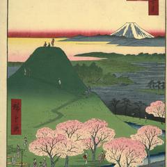 The New Mt. Fuji in Meguro, no. 24 from the series One-hundred Views of Famous Places in Edo